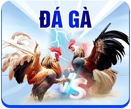 icon đá gà rr88
